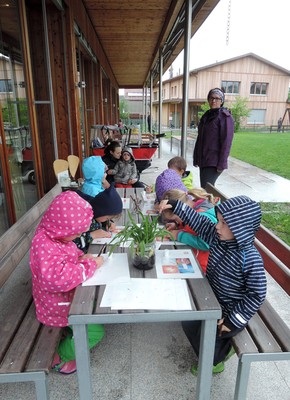 66 Aua_Salbe_herstellen.jpg