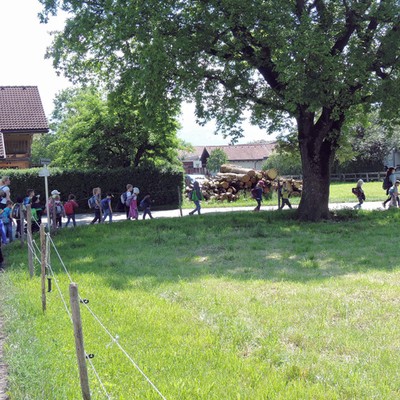 Naturwoche im Kindergarten