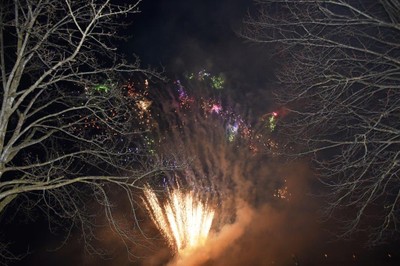 DSC_1447.jpg