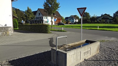 01 Bangs Sterna.jpg