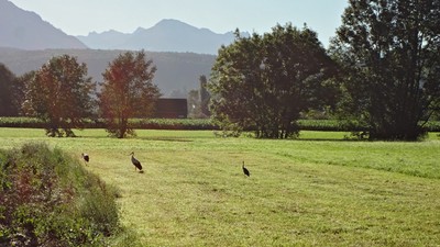 03 von Bangs nach Ruggell.jpg