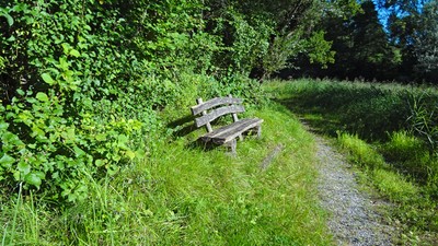 12 von Salez bis Lienz.jpg