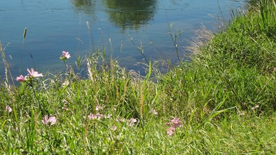 25 Binnenkanal bei Rüthi.jpg