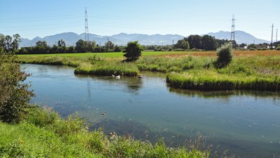 26 Binnenkanal bei Rüthi.jpg