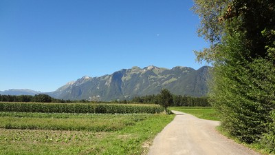 35 Meiningen .jpg