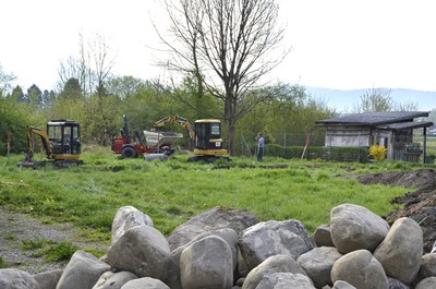 05_Arbeiten Tannenfeld.jpg
