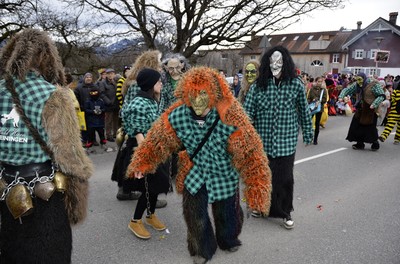 81 Faschingsumzug.jpg