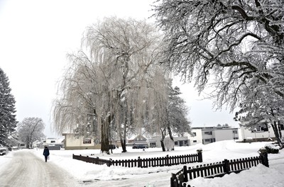 67 Winter.jpg