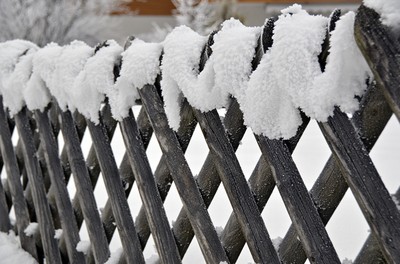 68 Winter.jpg