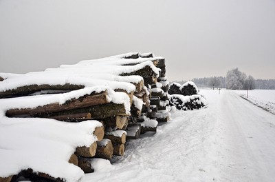 69 Winter.jpg