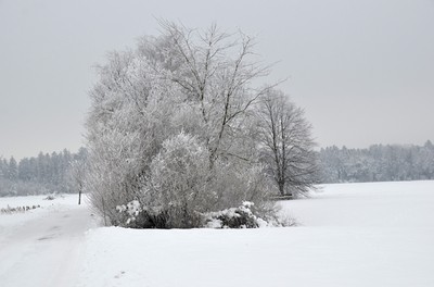70 Winter.jpg