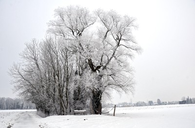 74 Winter.jpg