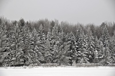75 Winter.jpg
