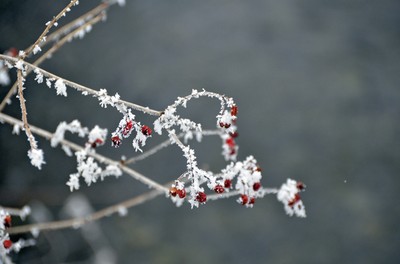 76 Winter.jpg