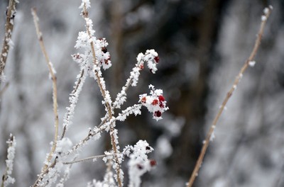 77 Winter.jpg