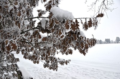 78 Winter.jpg