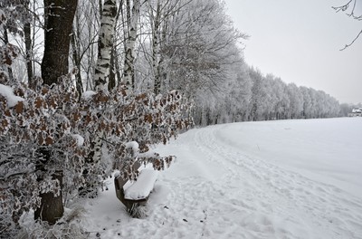 79 Winter.jpg