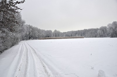 80 Winter.jpg