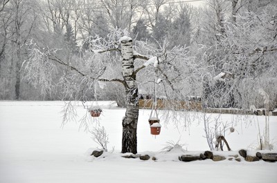 81 Winter.jpg