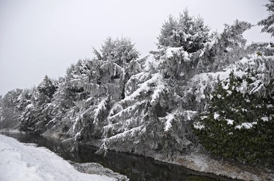 83 Winter.jpg
