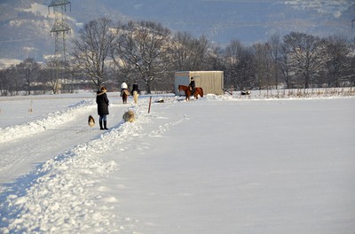 91 Winter.jpg
