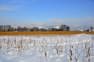 94 Winter.jpg