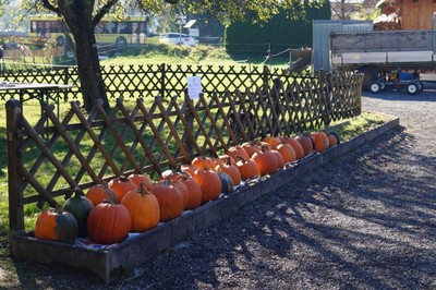 DSC09801.JPG