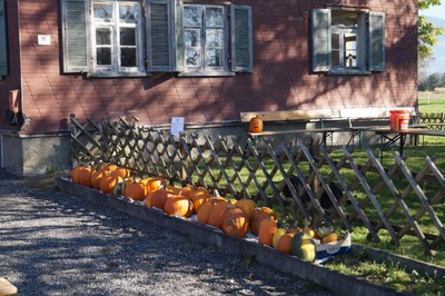 DSC09802.JPG