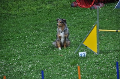 DSC_0009.JPG