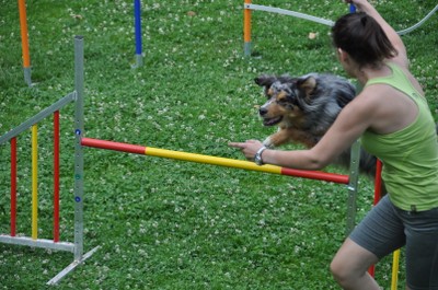 DSC_0015.JPG