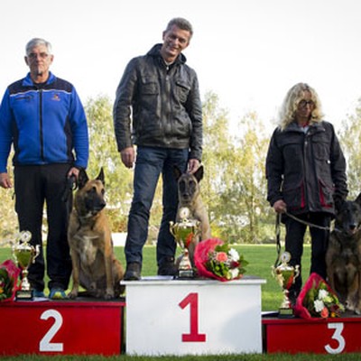 ÖKV FH  VIZE Staatsmeister 2015 - Kurt Mayer mit Gringo de la montagne unique