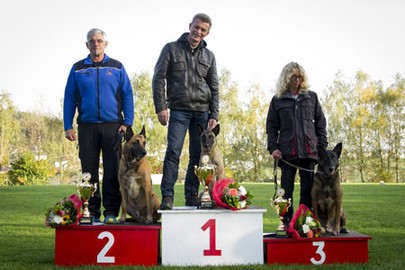 ÖKV FH  VIZE Staatsmeister 2015 - Kurt Mayer mit Gringo de la montagne unique