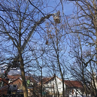 01 Mühlebachweg.jpg