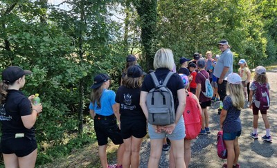 06_Sommer_Wald_02.jpeg