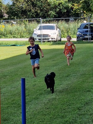 07_Sommer_Hund_01.jpeg
