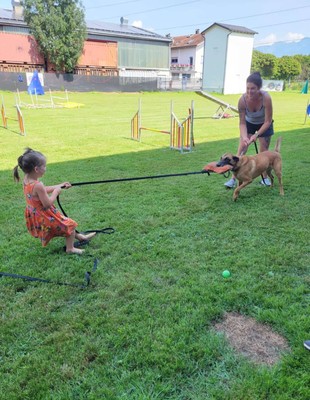 07_Sommer_Hund_04.jpeg