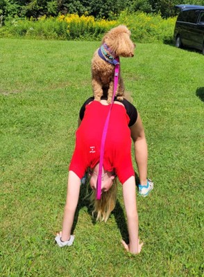 07_Sommer_Hund_05.jpeg