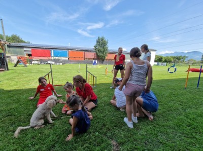 07_Sommer_Hund_06.jpeg