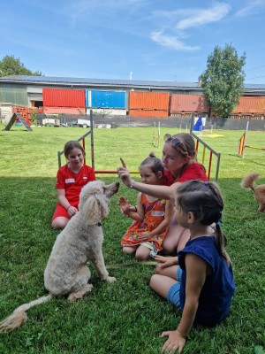 07_Sommer_Hund_08.jpeg