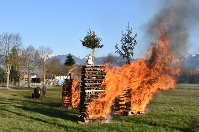 DSC_3451.JPG