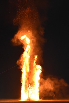 DSC_3485.JPG