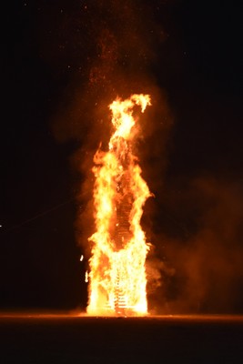 DSC_3488.JPG
