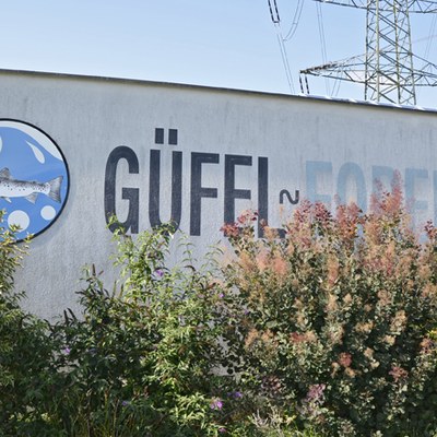 Forellen Güfel.jpg