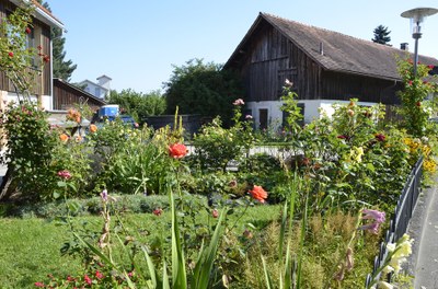 Garten.jpg
