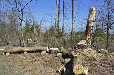 Treffpunkt Mühlebachweg_web.jpg