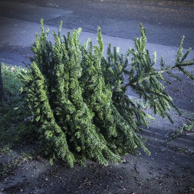 Christbaumsammlung