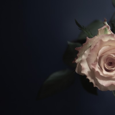 Konzert "Stabat Mater"
