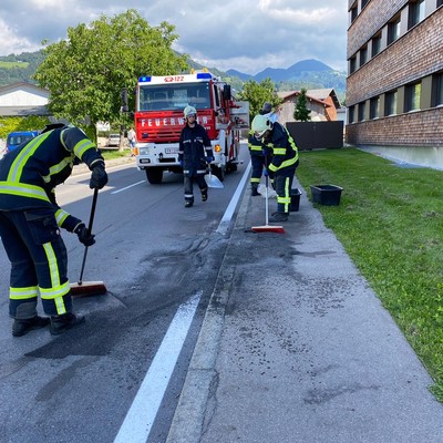 Einsatz 11-2020: t1 Röthis Treietstraße L63 - RÖTHNER TREIETSTRASSE - betriebsstoffe laufen aus bei traktor - bindemittel wird benötigt