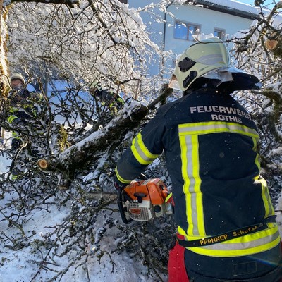 Einsatz 01-2021: t1 Röthis Rautenastrasse xy - Äste auf Schopf gestürzt