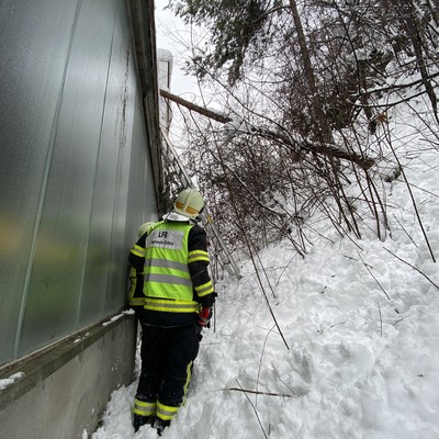 Einsatz 02-2021: t1 Röthis Badstrasse xy - Baum auf Flachdach gestürzt